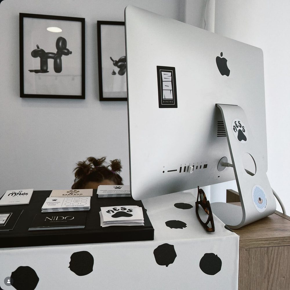 The MESS Grooming reception & studio