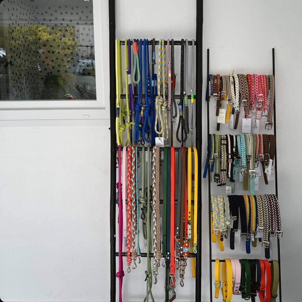 Boutique wall of collars and leashes