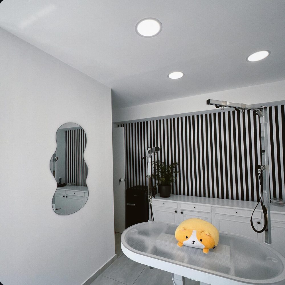 The grooming room with styling table